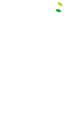 軽井沢国際音楽祭